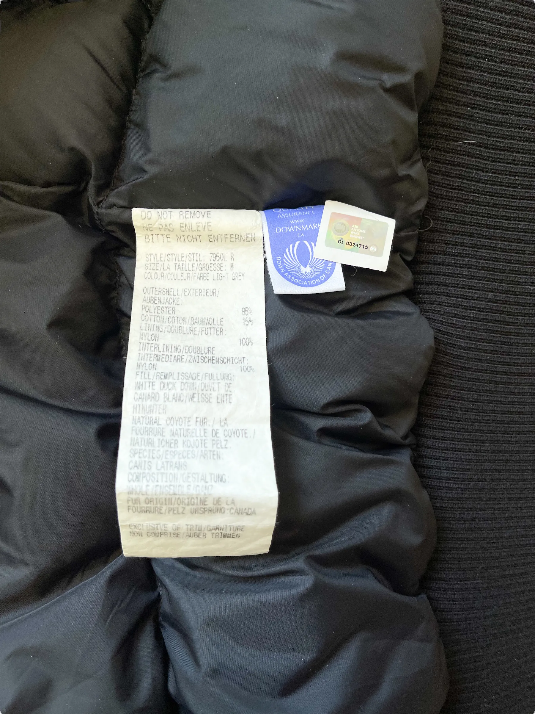 Canada Goose Light Grey Chilliwack Women's Jacket